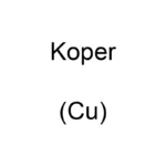 Koper