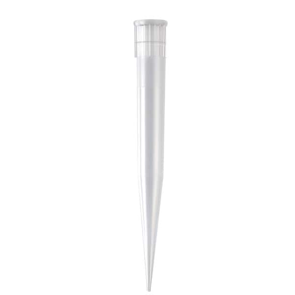 Disposable plastic pipette tip for laboratory use, precision scientific tools.