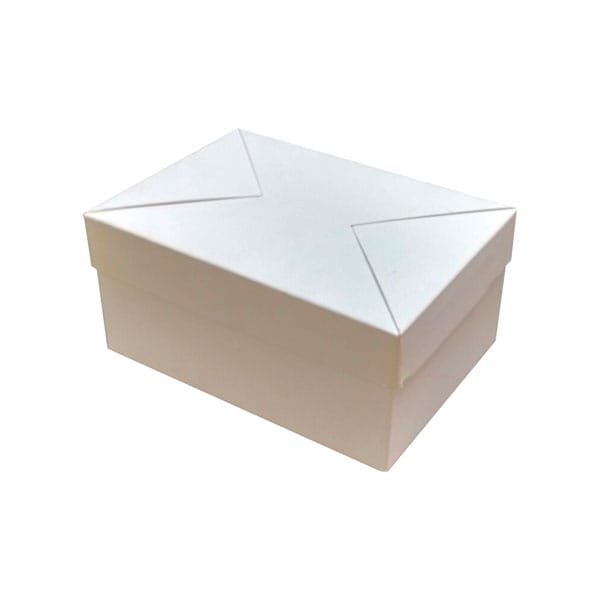 Premium white cardboard box for packaging and storage solutions.