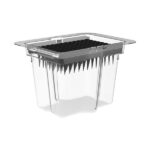 1. Clear plastic container with black cloning gel and micropropagation sticks.